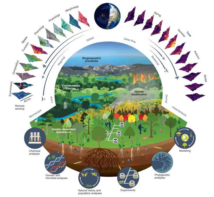 The integration of remote sensing and in situ observations, experiments and models as tools to understand biodiversity in the Earth system (Cavender-Bares et al. 2022)