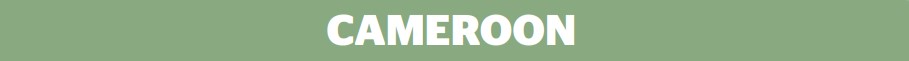 cameroon subheading