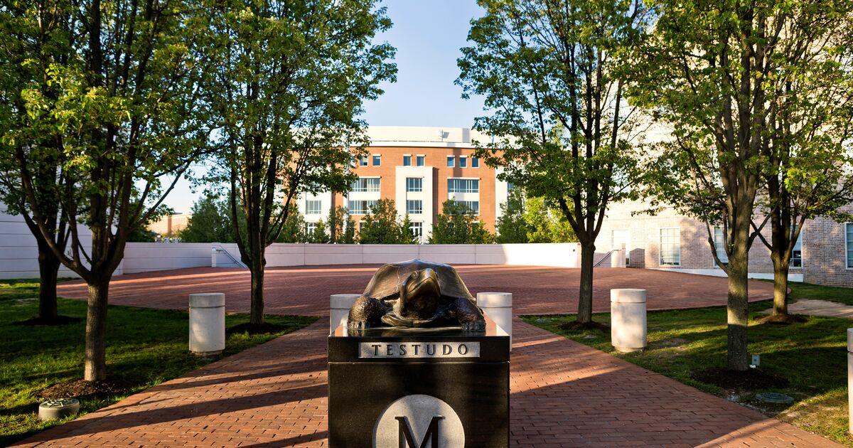 photo of a bronze Testudo in front of Riggs Alumni Center by John T. Consoli