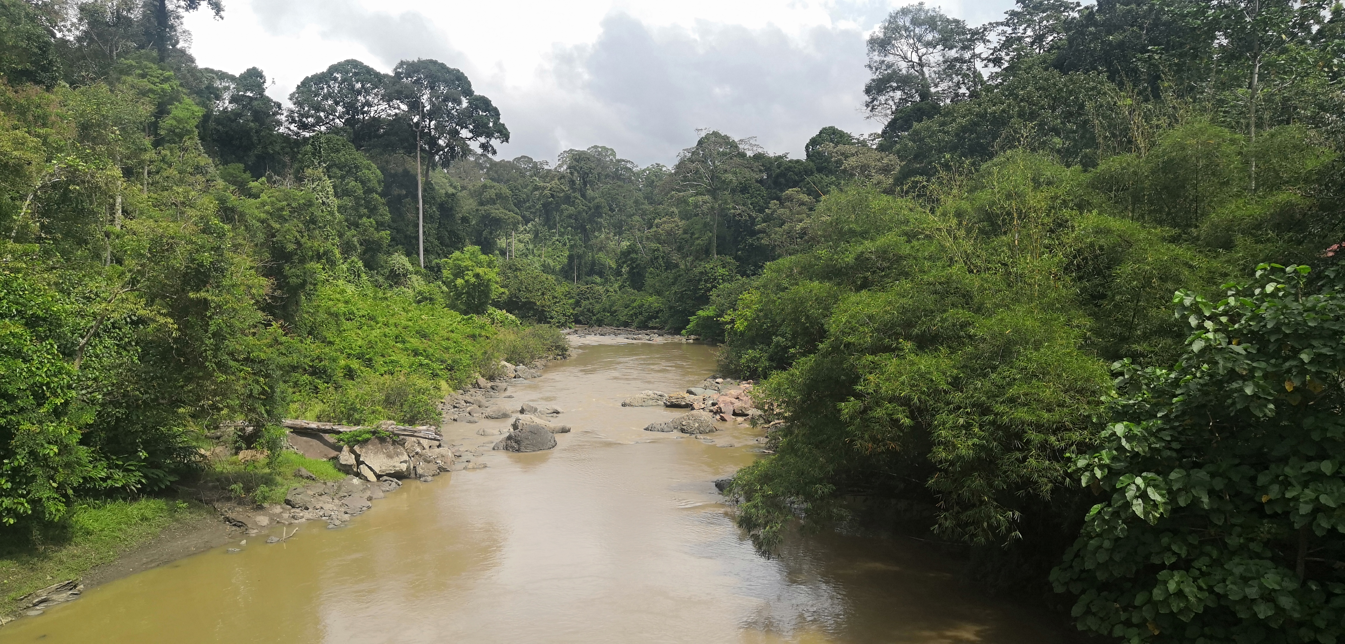 The Danum river, near the lodge of the Danum Valley Conservation Area