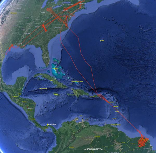 map of lvis flights