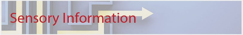 Sensory Information