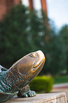 Testudo statue