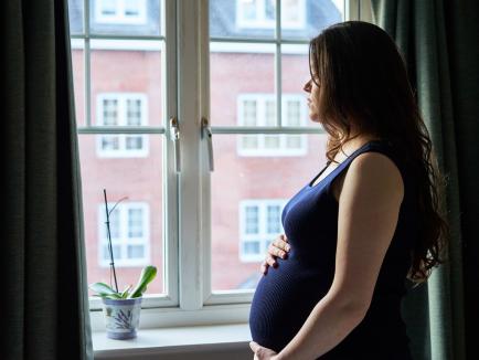 Pregnant Woman Looking out the Window