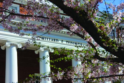 Tydings Spring blossoms