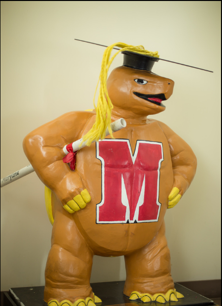 Testudo