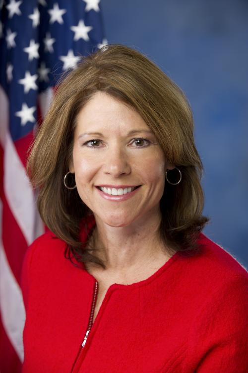 Rep. Cheri Bustos (D-Illinois)