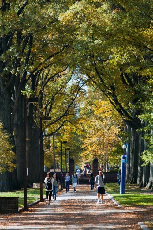 Students near mall