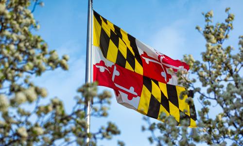 Maryland flag