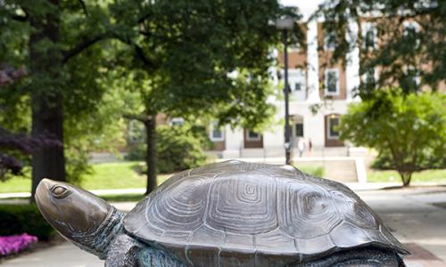 Testudo