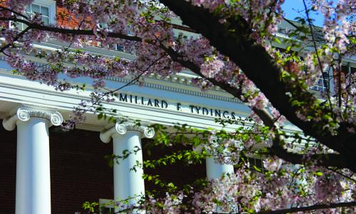 Tydings Spring blossoms