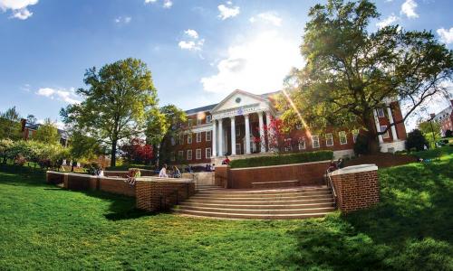McKeldin Library summer