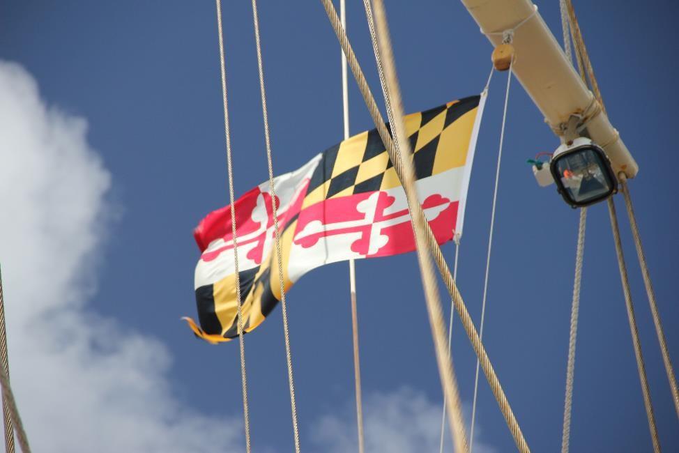Maryland Flag