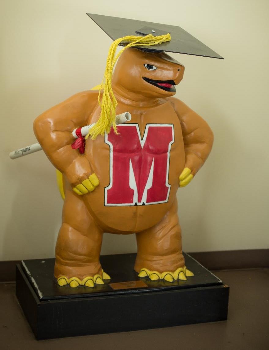 Testudo