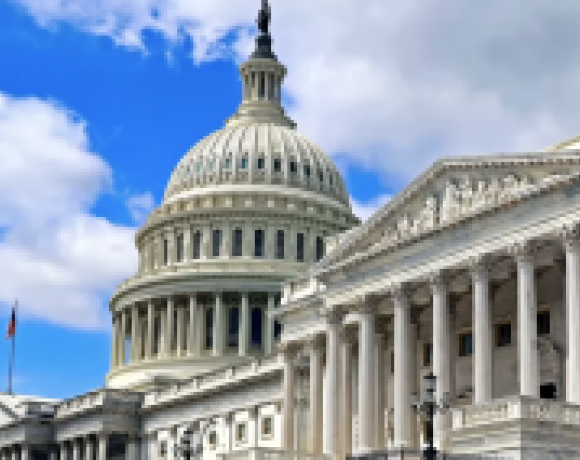 capitol image