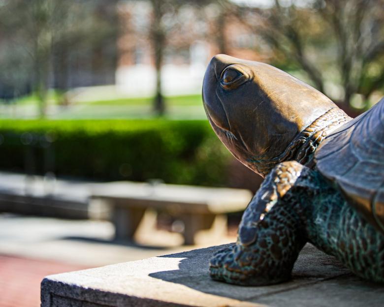 Testudo