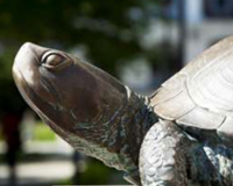 Terrapin