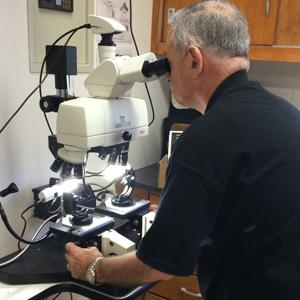 forensic comparison microscope
