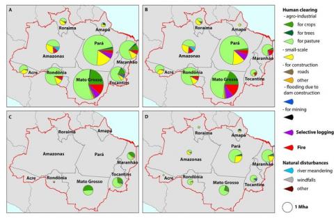 The 2000-2013 state-level tree cover loss area estimates.