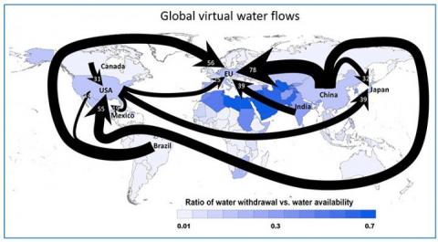 Global Virtual Water Flows