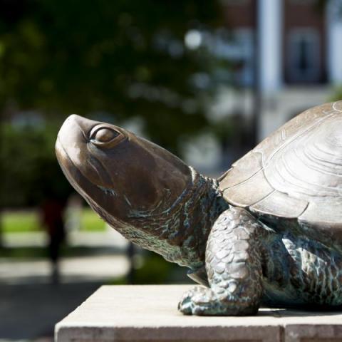 Testudo