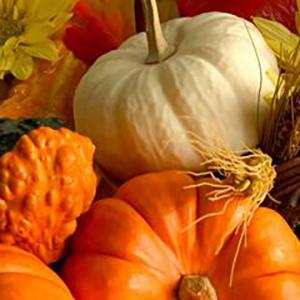 Pumpkins