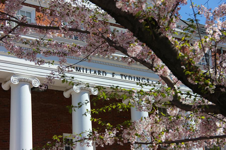Tydings blossoms