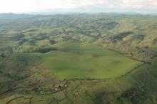 Land-Use Change in Forests