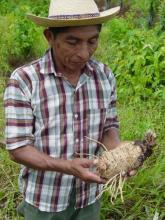 Q’eqchi’ Maya farmer in souther Belize
