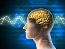 Sound waves and the brain